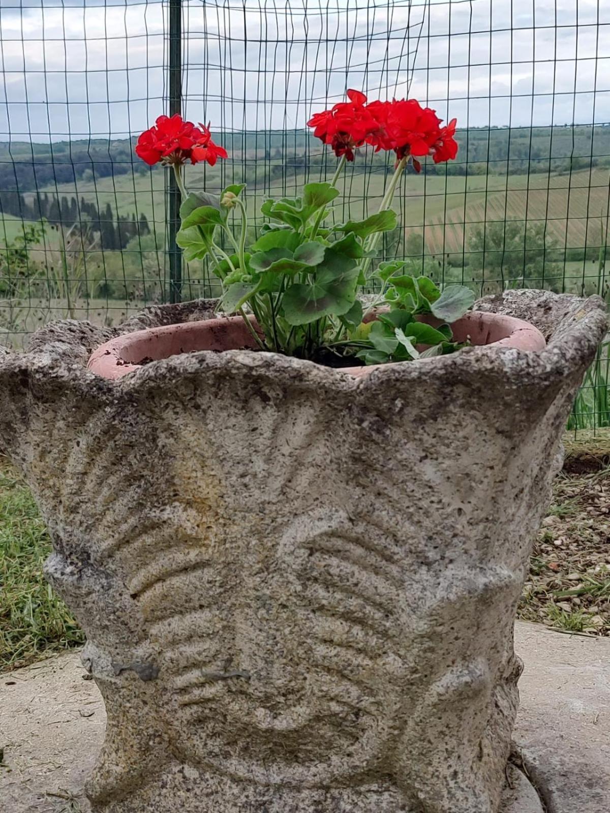 Il Giardino Del Chianti Siena Exterior foto