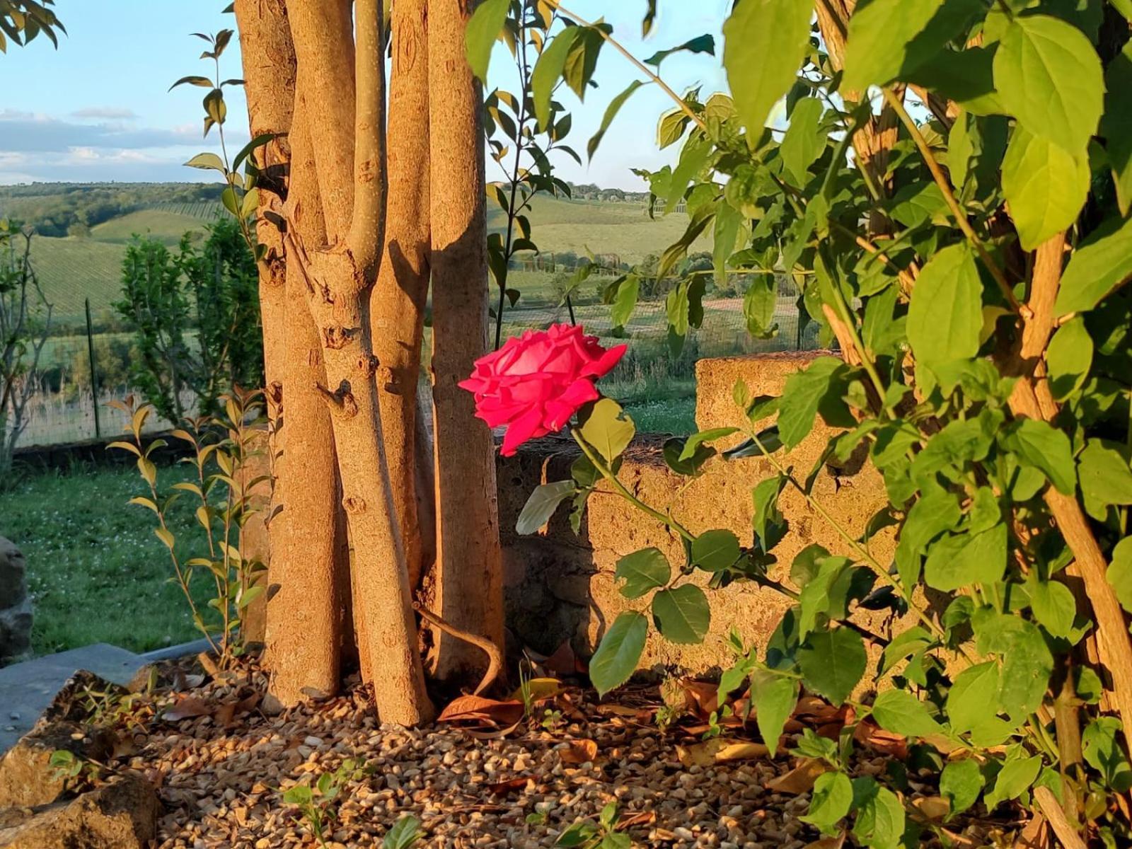 Il Giardino Del Chianti Siena Exterior foto