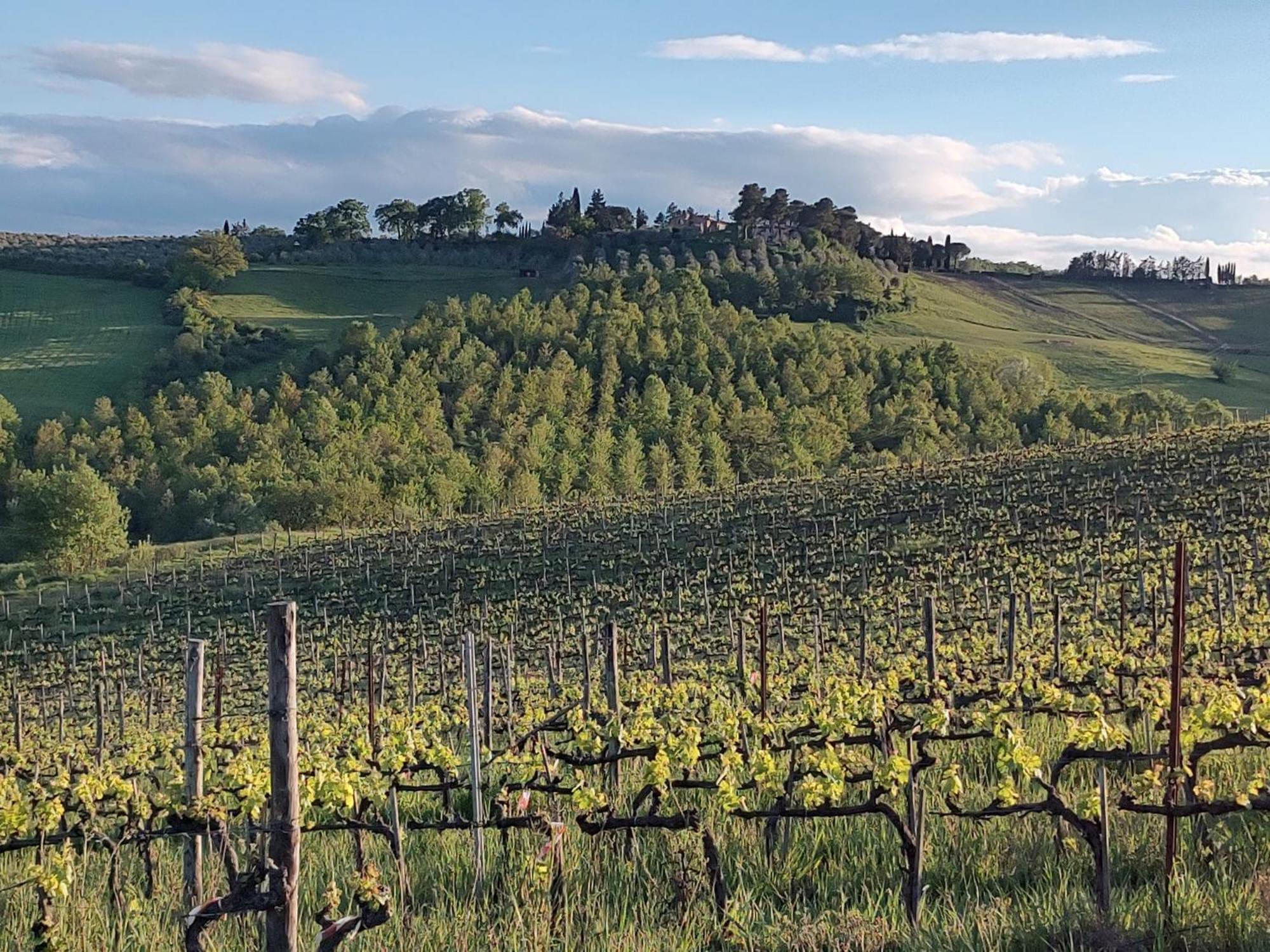 Il Giardino Del Chianti Siena Exterior foto